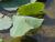 Kina-2004-22